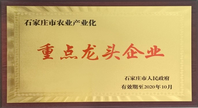 石家莊市農(nóng)業(yè)產(chǎn)業(yè)化重點(diǎn)龍頭
